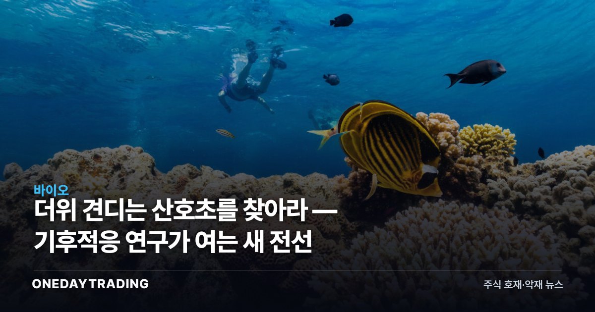더위 견디는 산호초를 찾아라 — 기후적응 연구가 여는 새 전선