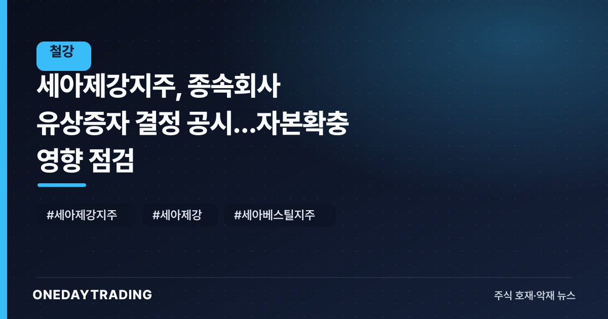 세아제강지주, 종속회사 유상증자 결정 공시…자본확충 영향 점검