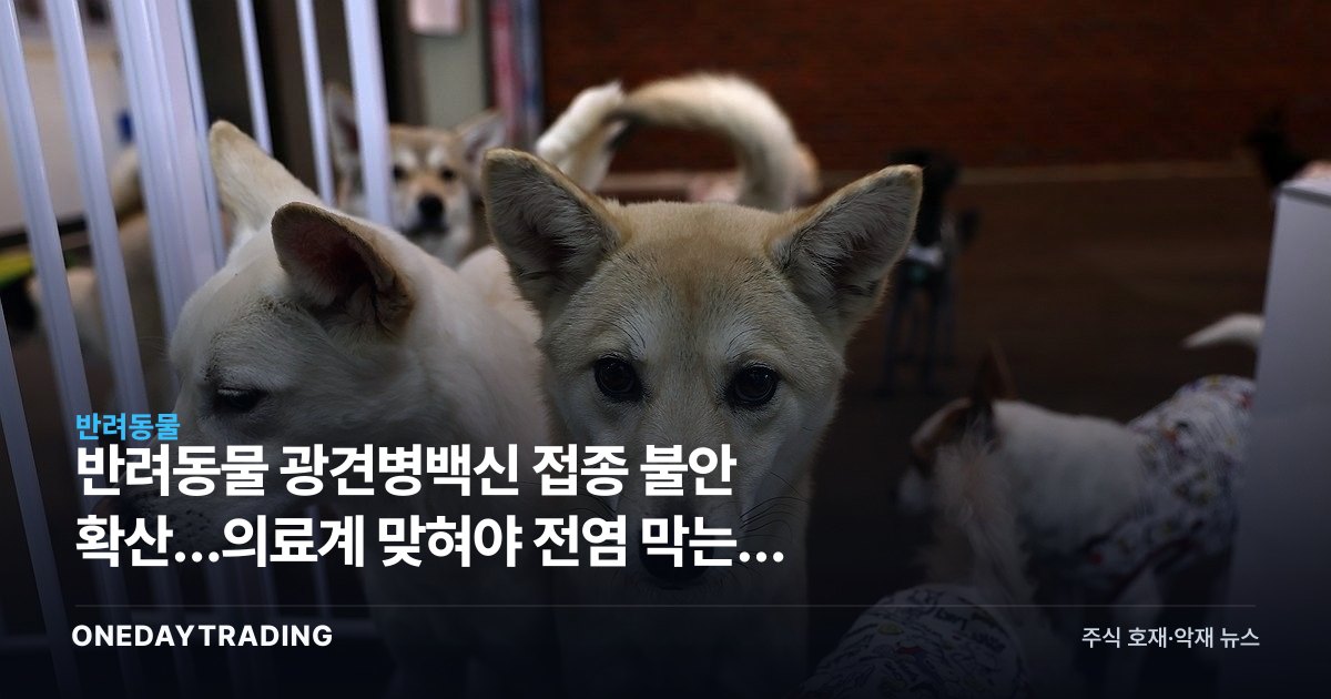 반려동물 광견병백신 접종 불안 확산…의료계 맞혀야 전염 막는다 강조