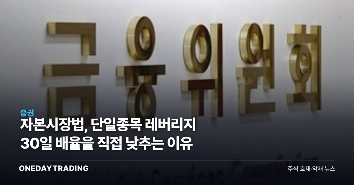 자본시장법, 단일종목 레버리지 30일 배율을 직접 낮추는 이유