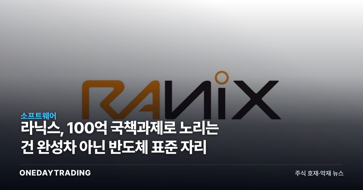 라닉스, 100억 국책과제로 노리는 건 완성차 아닌 반도체 표준 자리