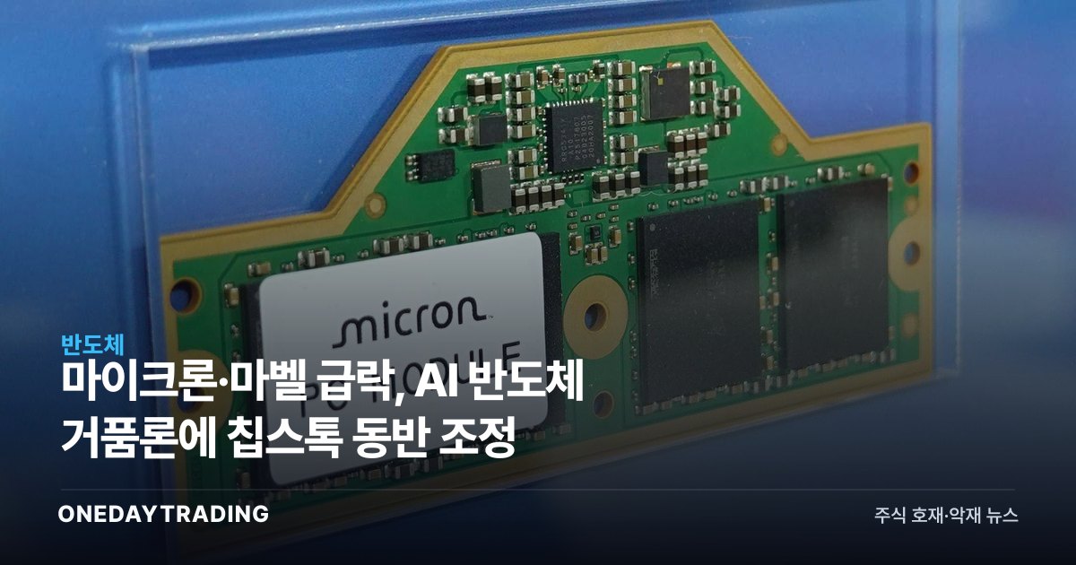 마이크론·마벨 급락, AI 반도체 거품론에 칩스톡 동반 조정