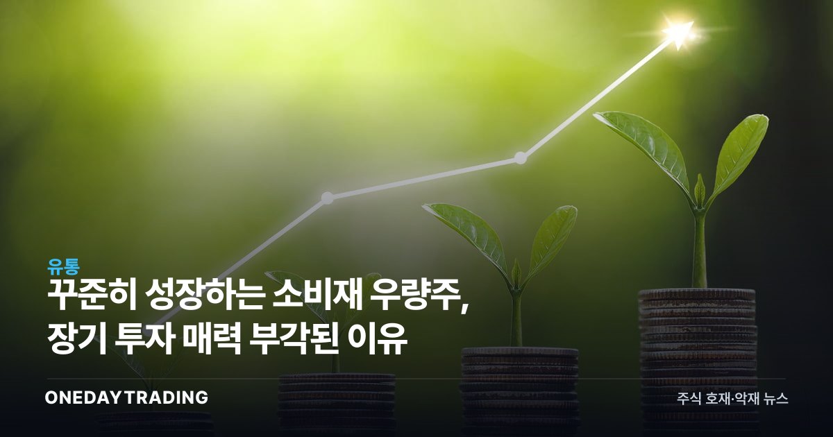꾸준히 성장하는 소비재 우량주, 장기 투자 매력 부각된 이유