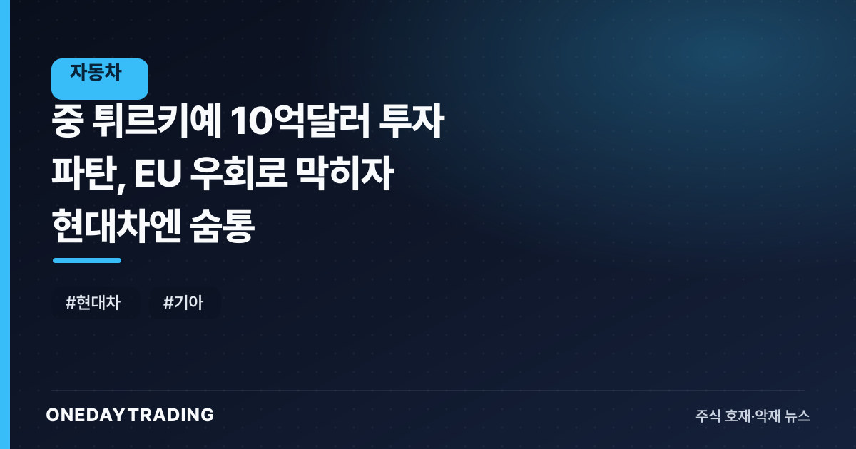 中 튀르키예 10억달러 투자 파탄, EU 우회로 막히자 현대차엔 숨통