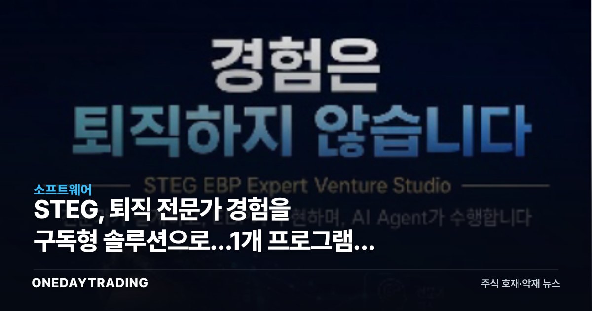 STEG, 퇴직 전문가 경험을 구독형 솔루션으로…1개 프로그램이 바꾸는 B2B 시장