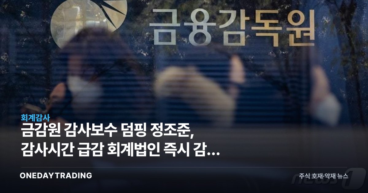 금감원 감사보수 덤핑 정조준, 감사시간 급감 회계법인 즉시 감리 착수