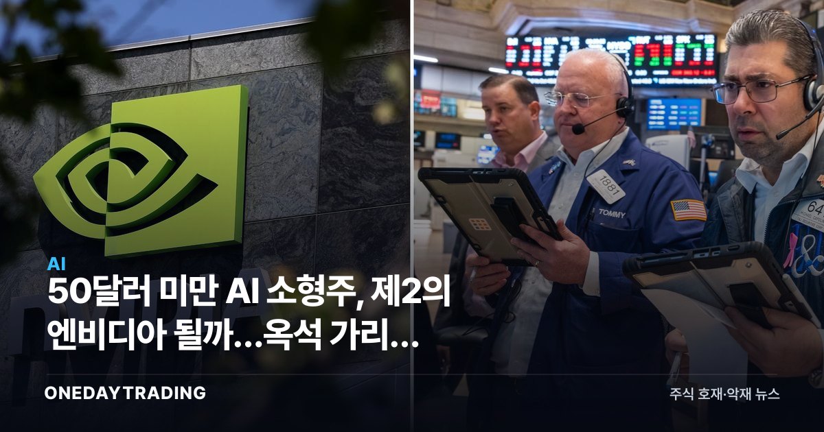 50달러 미만 AI 소형주, 제2의 엔비디아 될까…옥석 가리기 체크포인트
