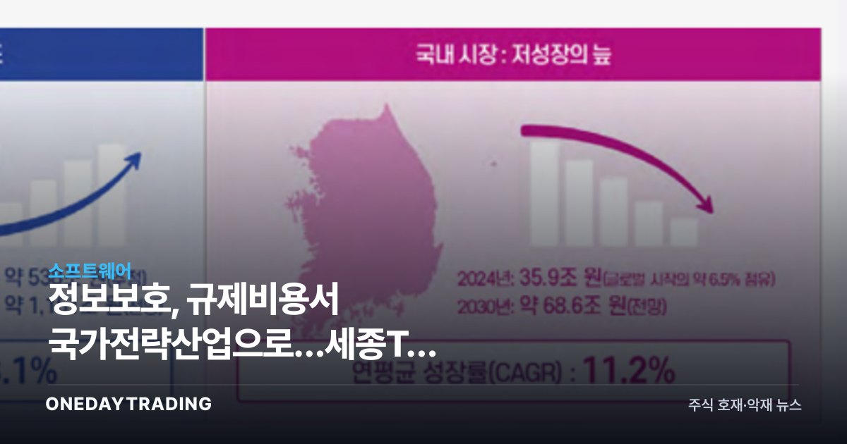 정보보호, 규제비용서 국가전략산업으로…세종TP 'S.A.F.E' 전략