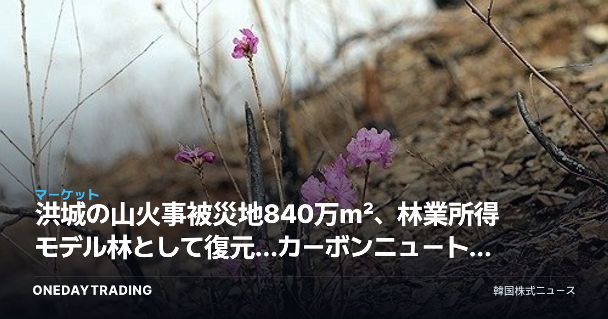 洪城の山火事被災地840万㎡、林業所得モデル林として復元…カーボンニュートラル実現へ