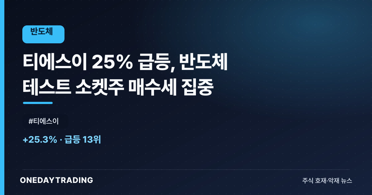 티에스이 25% 급등, 반도체 테스트 소켓株 매수세 집중