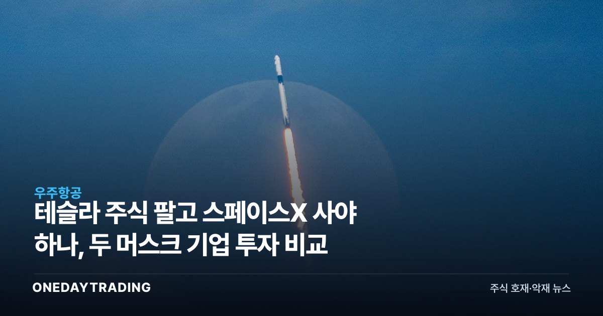 테슬라 주식 팔고 스페이스X 사야 하나, 두 머스크 기업 투자 비교