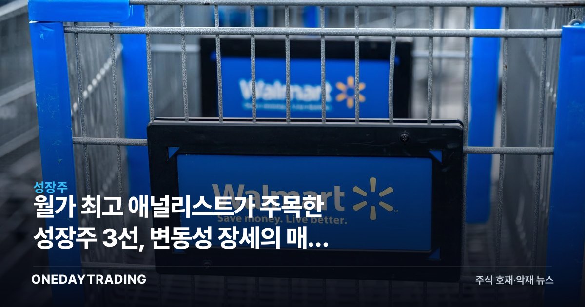 월가 최고 애널리스트가 주목한 성장주 3선, 변동성 장세의 매수 기회는