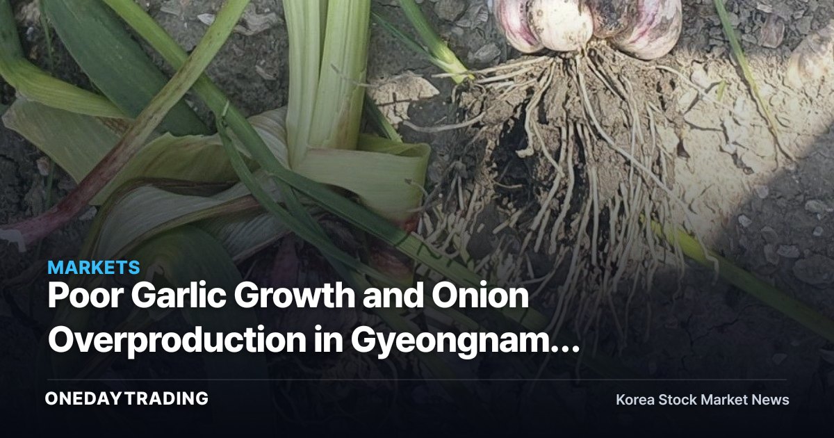 Poor Garlic Growth and Onion Overproduction in Gyeongnam: Examining the Cost Variables Facing Food and Restaurant Stocks