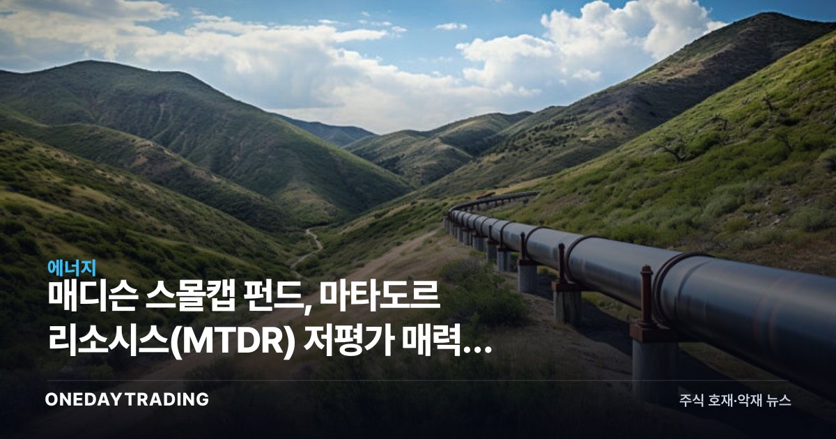 매디슨 스몰캡 펀드, 마타도르 리소시스(MTDR) 저평가 매력에 베팅한 이유