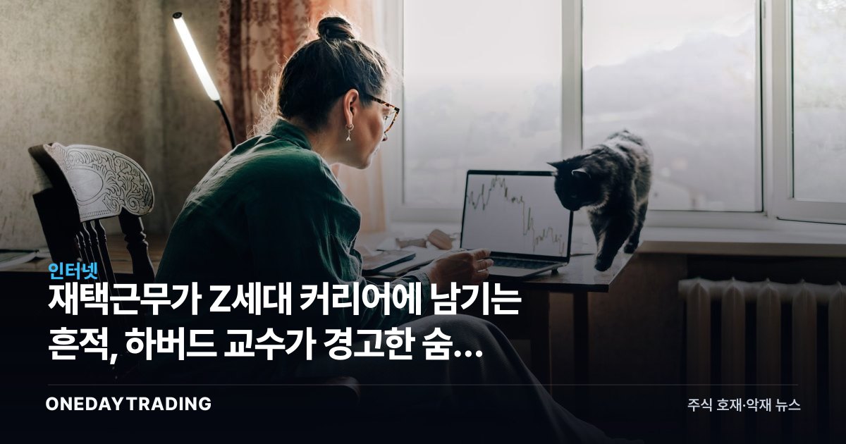 재택근무가 Z세대 커리어에 남기는 흔적, 하버드 교수가 경고한 숨은 리스크